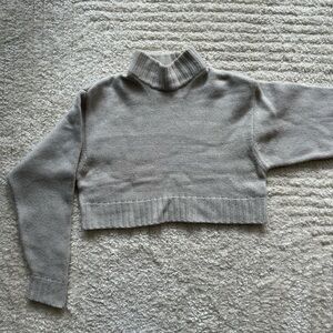 ARITZIA Cropped Sweater